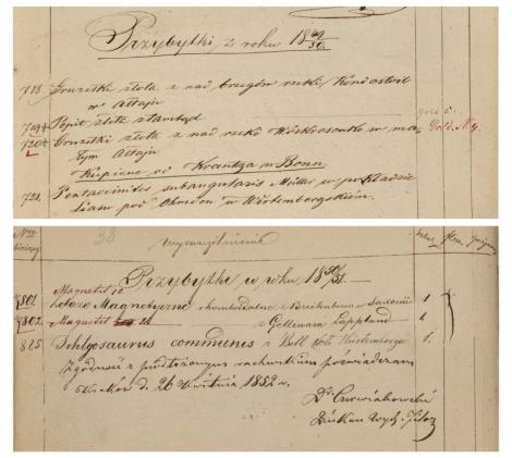 Photo no. 8 (8)
                                                         Fragmenty katalogu muzealnego. Pod numerem 721 płyta z liliowcami (zakup w roku 1849/50), a pod numerem 825 szkielet ichtiozaura (zakup 1850/51).
                            