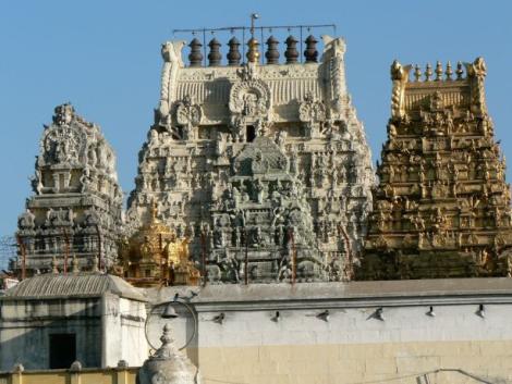 Photo no. 1 (8)
                                                         Świątynia bogini Kańći Kamakszi w Kańcipuram
                            